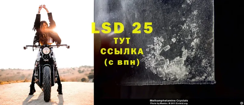 blacksprut ссылка  Курчалой  LSD-25 экстази ecstasy 